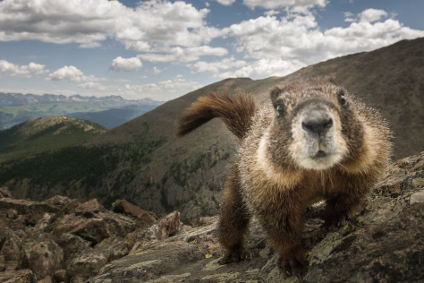 Garsiausias pasaulio sinoptikas jau paskelbė, kiek dar truks žiema