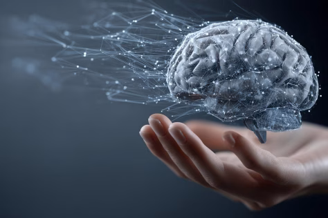 Nutukimas, smegenų senėjimas ir maistinis elementas: naujas tyrimas atskleidė bauginantį ryšį