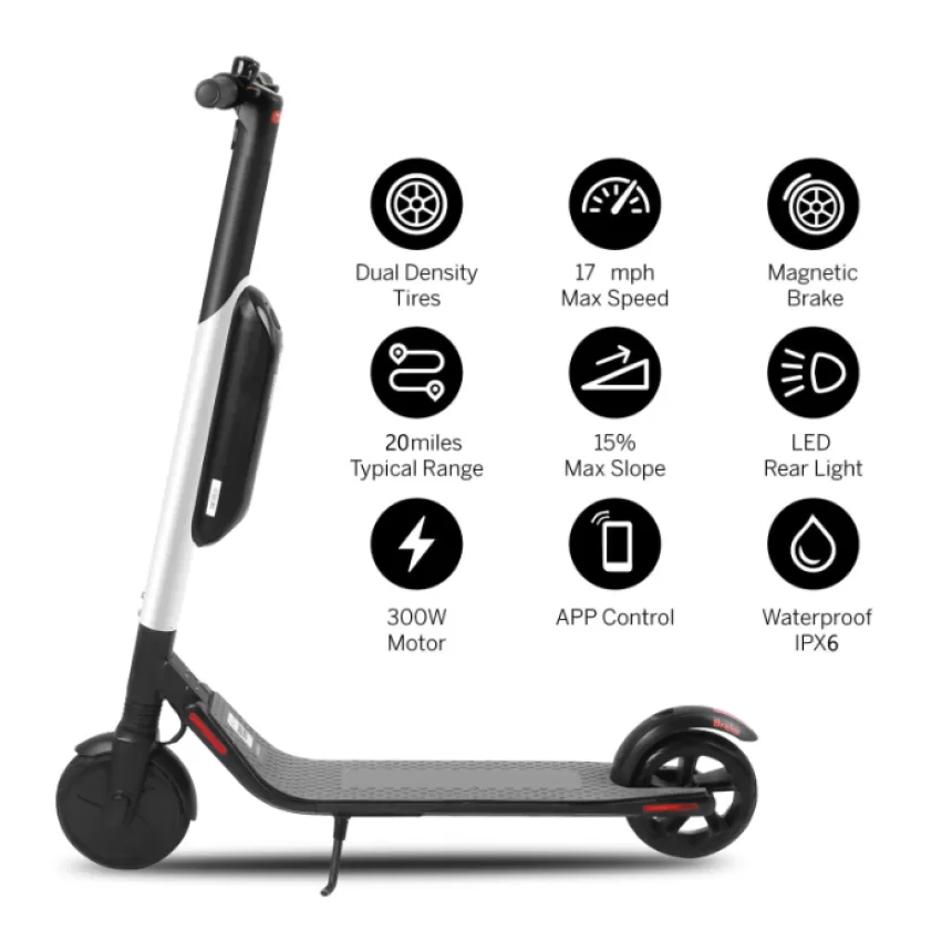 SUNNIGOO 300w 36v 10.4Ah Segway Original Electric Scooter