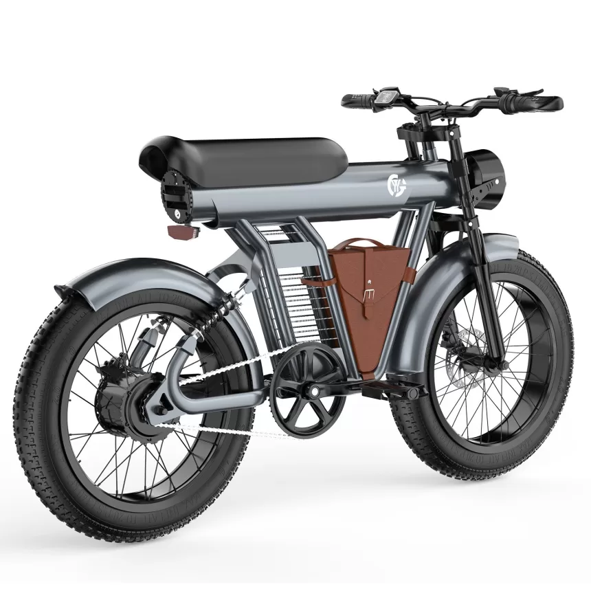 YYG GYL111 20x4 Inch Fat Tire 750W Motor Electric Mountain Bike Motorbike Pedal Assist Ebike with 20AH Removable Battery and Bike Pannier