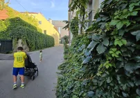img711297