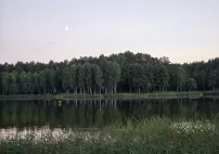 img710962