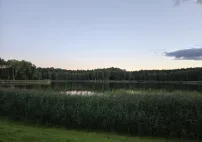 img710964