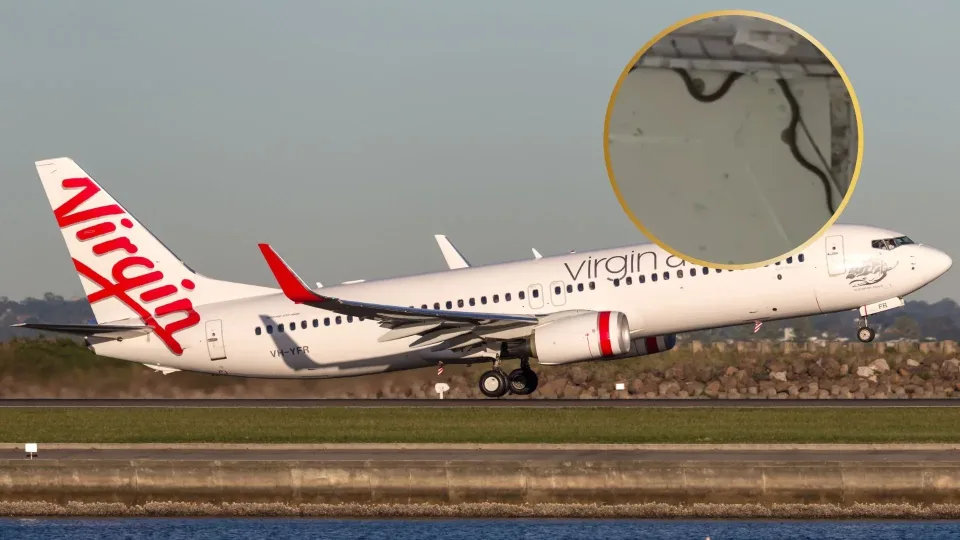 Skrydis iš Melburno į Brisbaną atidėtas dėl netikėto keleivio: gyvatė atsidūrė ten, kur jos tikrai niekas nesitikėjo