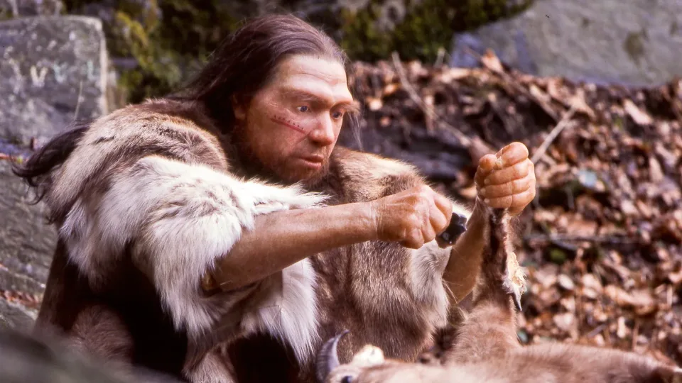 Ar neandertaliečiai taip niekada ir neišnyko? Mokslininkai pateikia netikėtą atsakymą