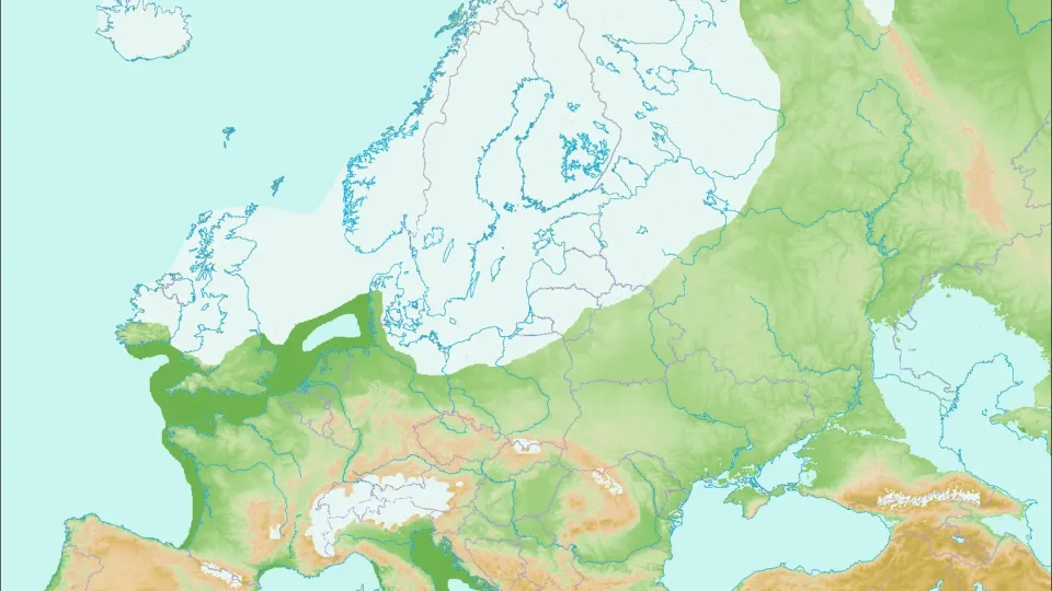 Pagaliau pradeda aiškėti ledynmečio paslaptys: mokslininkai rado DNR, kurią slėpė urvai