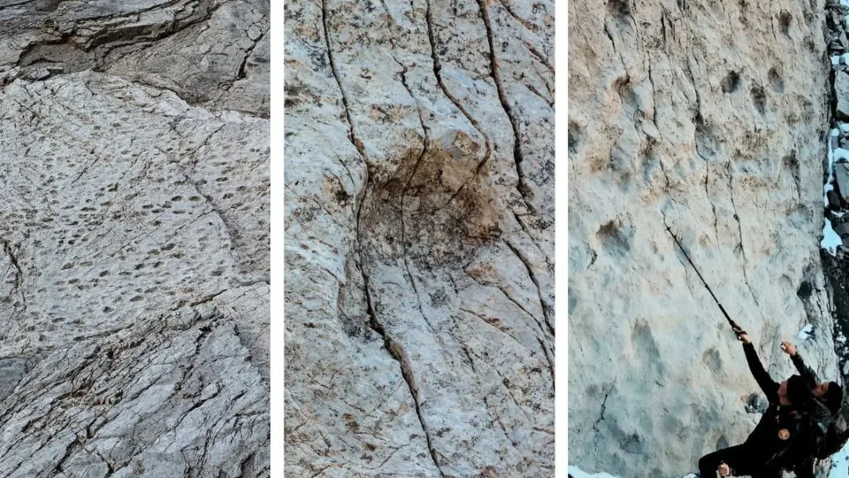 Stulbinantis atradimas Alpėse: vertikalioje uoloje rasti šimtus metrų besidriekiantys dinozaurų pėdsakai