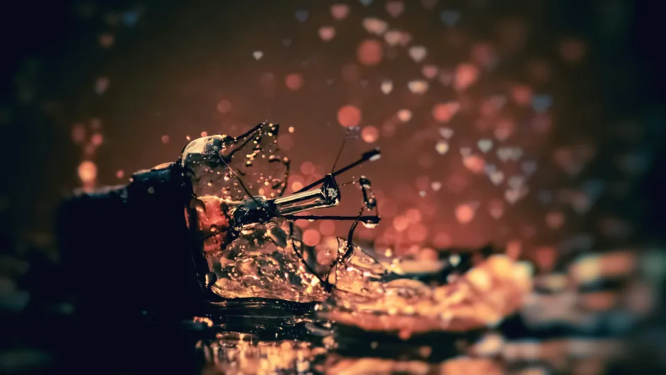 Gedimai namuose tyko tada, kai mažiausiai tikitės: ekspertai įspėja, kas gali virsti brangiais nuostoliais