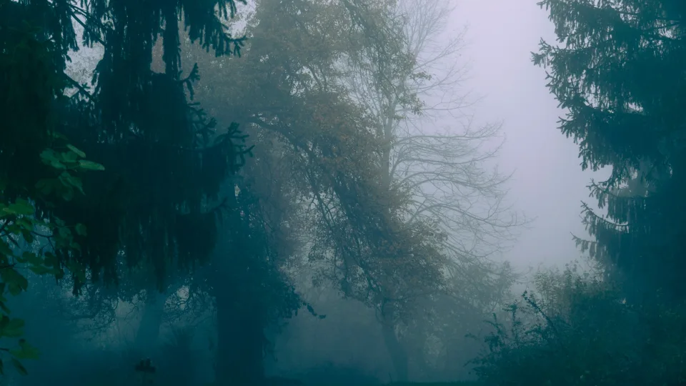 Sinoptikai ragina pasiruošti jau dabar: artėja permainos, kurios gyventojams sukels net ir galvos skausmą