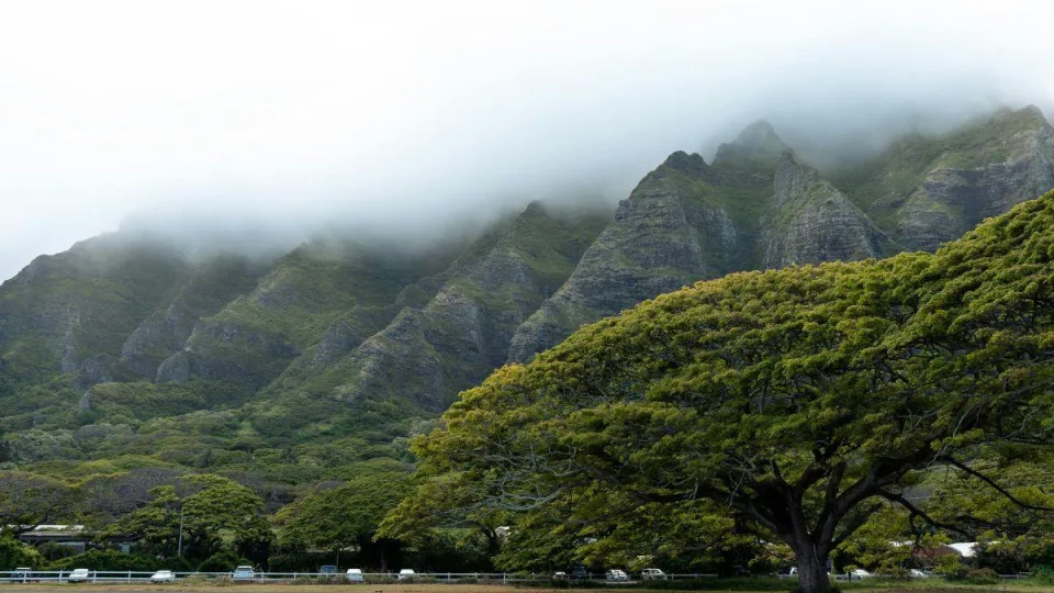 Netikėtas atradimas prie Havajų salų krantų: mūsų klimatui gresia milžiniška katastrofa