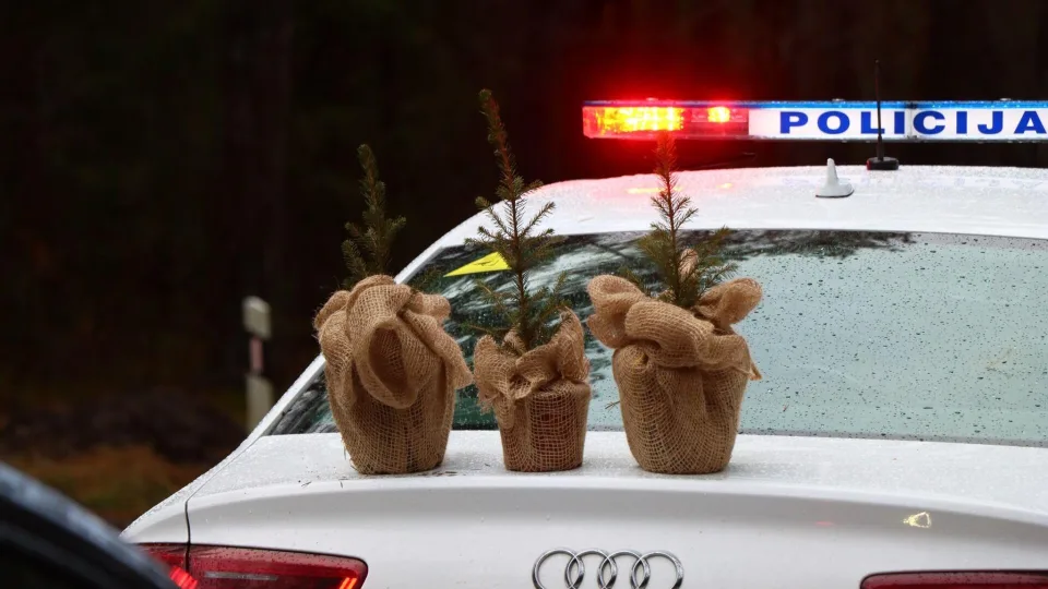 Šventinė eglutė ne iš miško, o iš širdies: akcija, primenanti, kad Kalėdos prasideda nuo atsakomybės