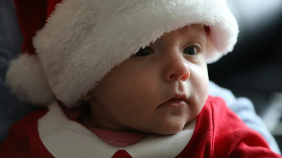 Net ir kūdikiai bus laimingi: 8 kalėdiniai patiekalai, kurie pradžiugins net ir pačius mažiausius