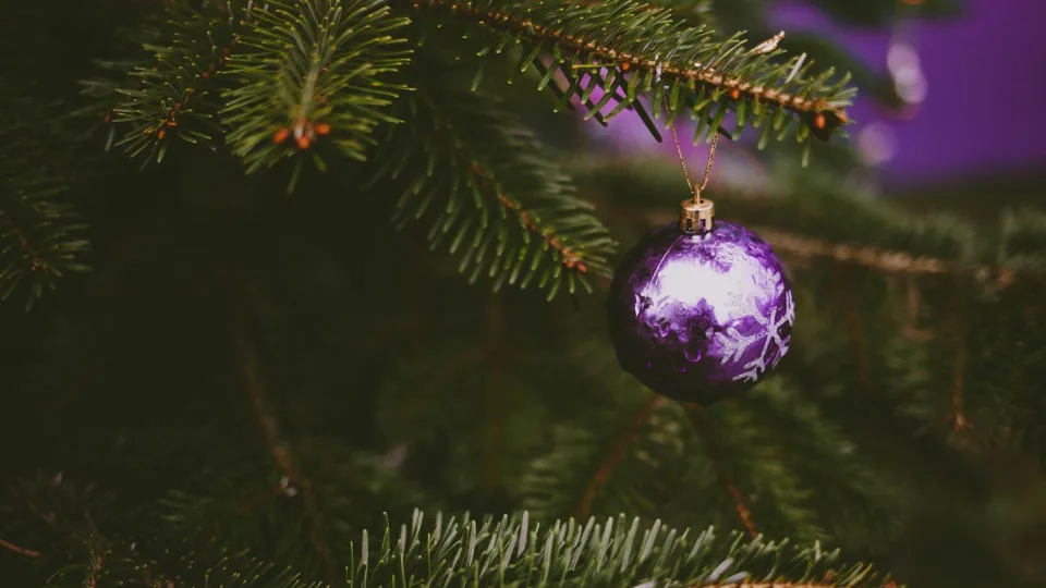 Šie Kalėdų papuošimai sugrąžins jus į vaikystę, ar dar turite bent vieną jų savo namuose?