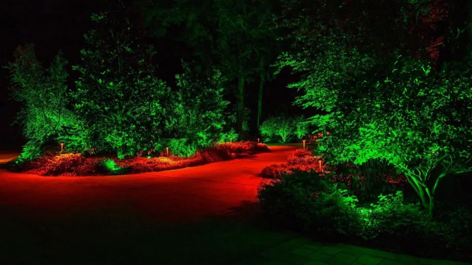 Šventinis apšvietimo gidas nuostabiomis Kalėdoms, daugelis apie tai net nepagalvoja