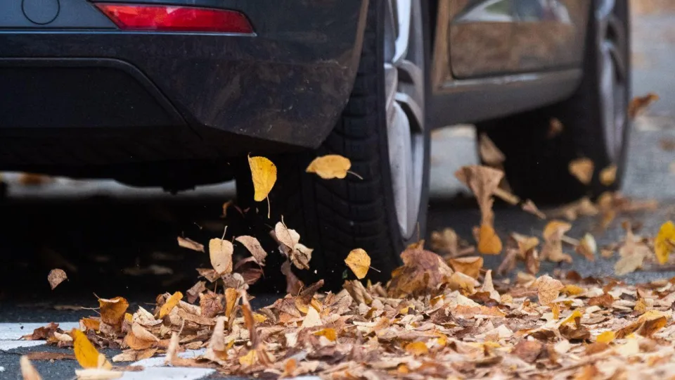 Net ir lapai gali tapti pavojumi keliuose, atskleidžiama grėsmė, kuri gali sukelti rimtų problemų