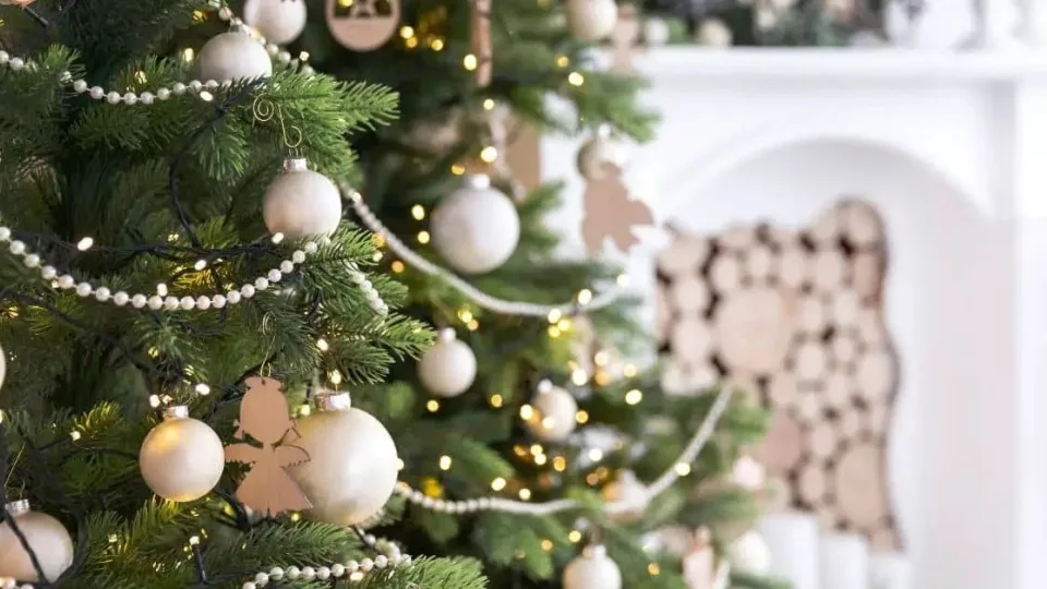 Šių faktų apie kalėdinę eglutę dar nebūsite girdėję, ką iš tikrųjų reiškia ši šventinė tradicija?