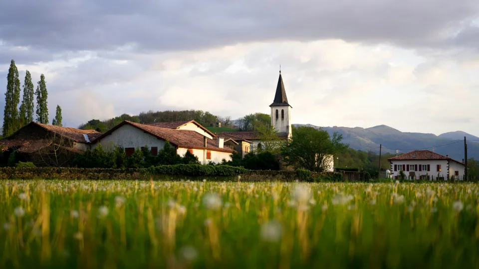 Valstybinės žemės valdymas keičiasi: nuo metų pradžios sprendimus priims nebe tarybos, o merai