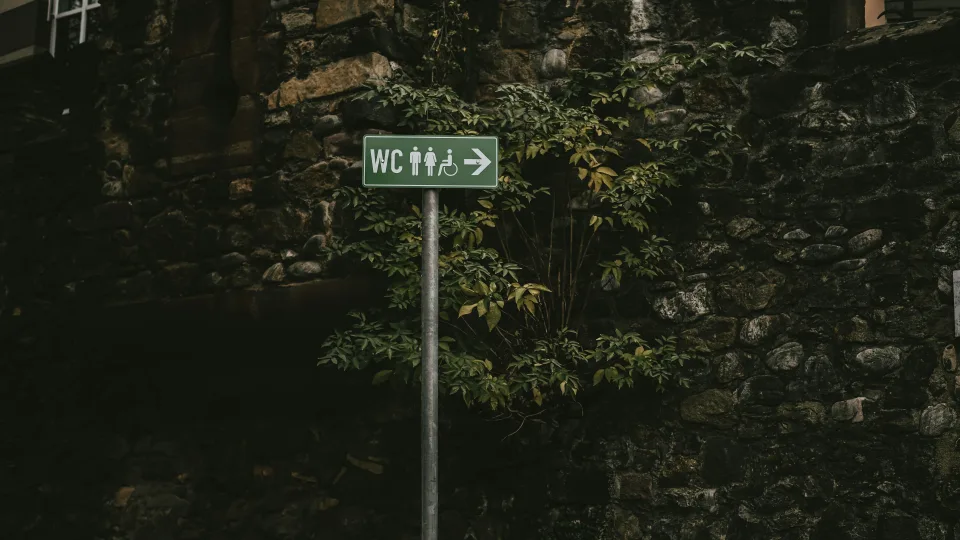 Mokslininkai atskleidė tiesą apie viešuosius tualetus: pavojus tyko visai ne ten, kur visi bijo sėsti