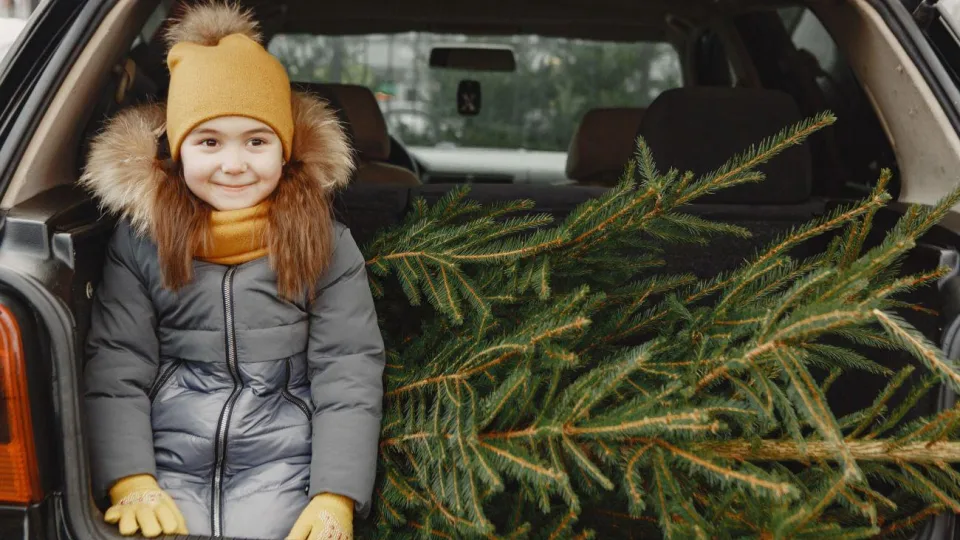 Kalėdinės eglutės transportavimas: pagrindinės klaidos, kurias daugelis šalies vairuotojų