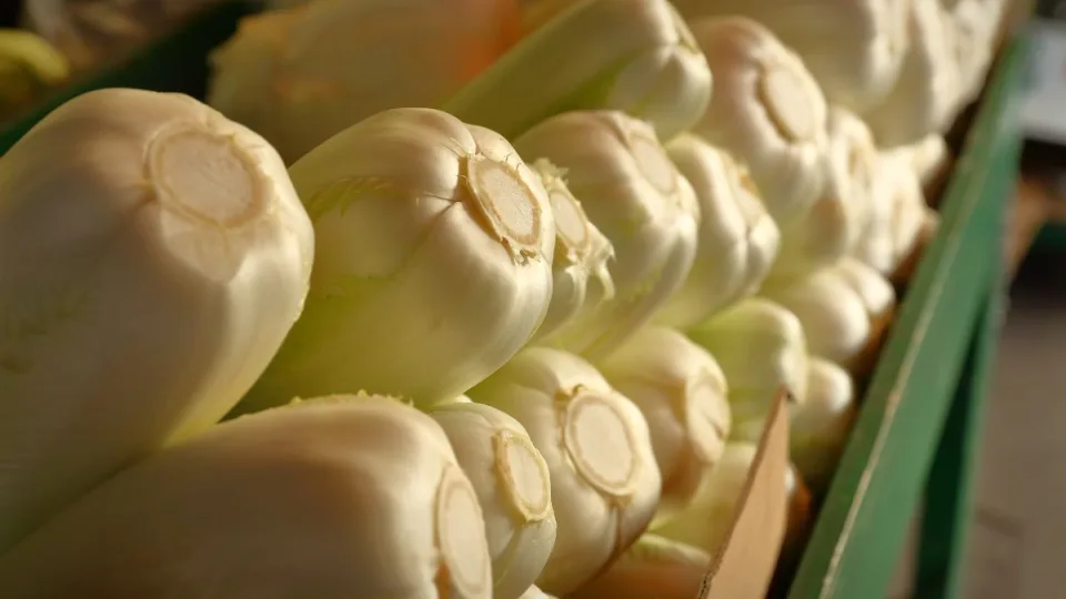 Tikras stebuklas, bet tinka ne visiems: visi giria šią daržovę, tačiau gydytojai įspėja