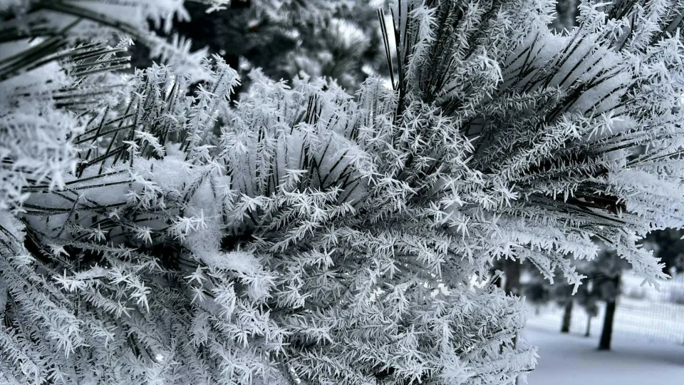 Lietuvoje perrašomi šalčio rekordai: fiksuota žemiausia temperatūra per dvejus metus