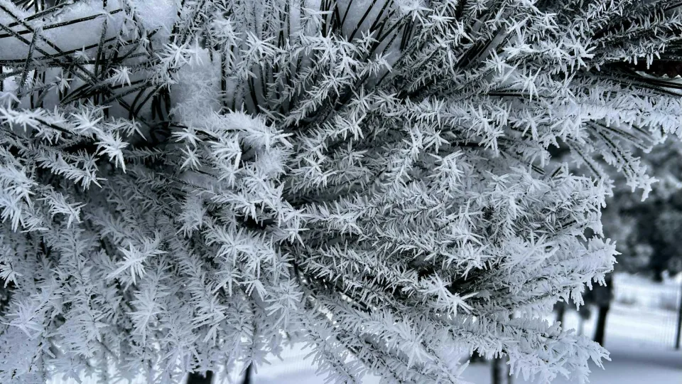Neįprastas sausis kelia nerimą: sinoptikai įspėja visus gyventojus, blogiausia dar tik ateina