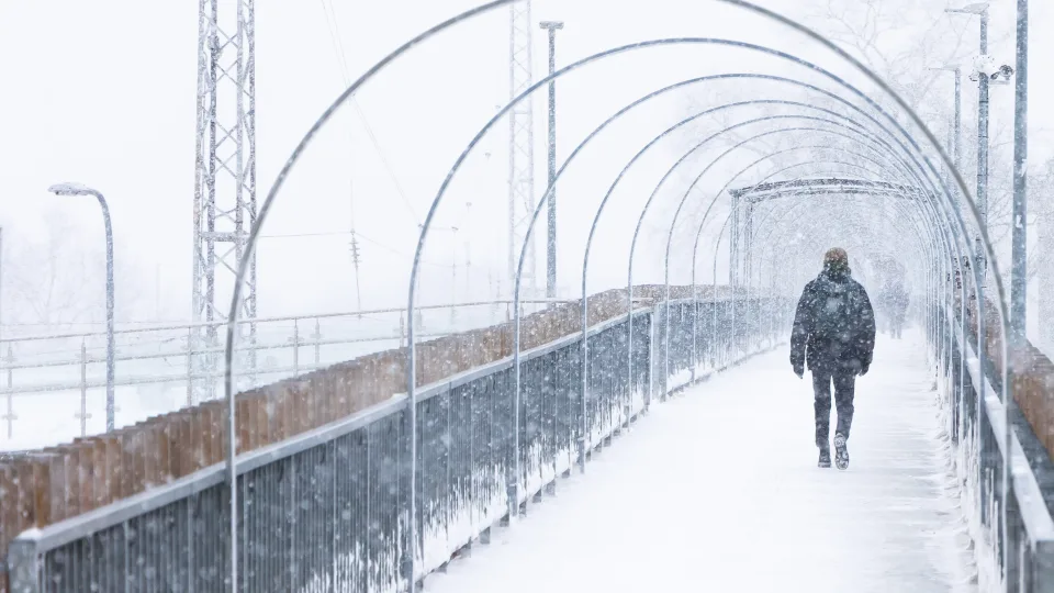 Sinoptikė prognozuoja žiemišką savaitgalį: daug kur snigs ir pustys, pūs stiprus vėjas
