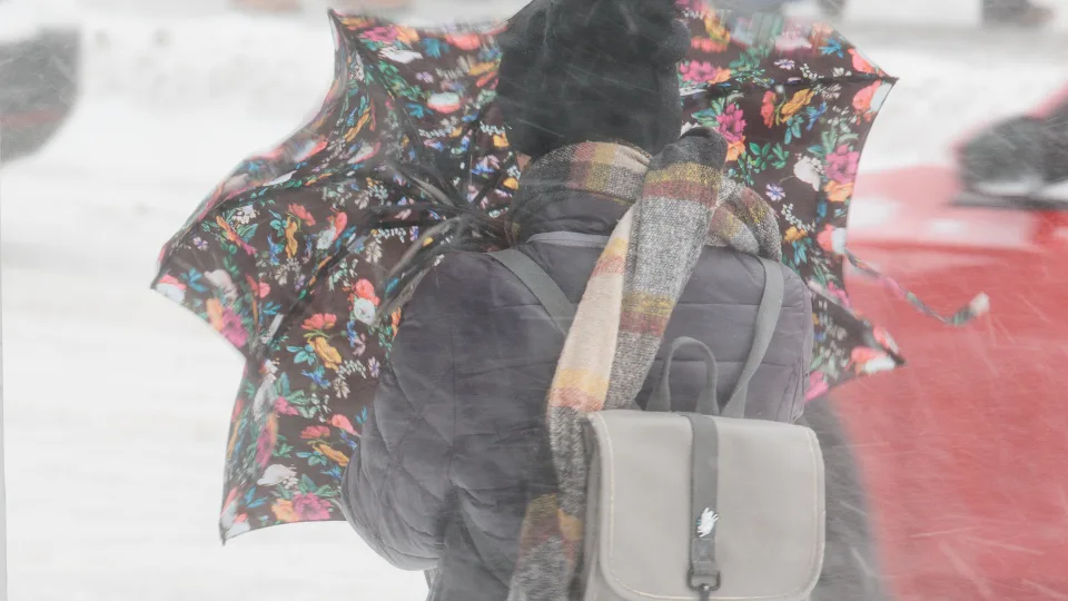 Snygis paralyžiuoja Lietuvą: gyventojai sulaukė skubių įspėjimų, keliuose gausu avarijų