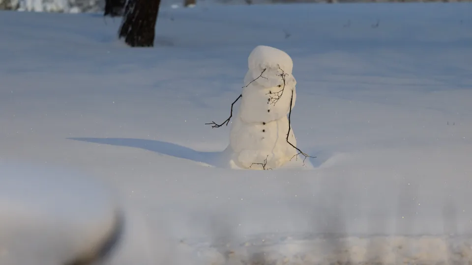 Pasiruoškite rimtiems šalčiams: artėja ledinis smūgis, speigas smogs visai Lietuvai