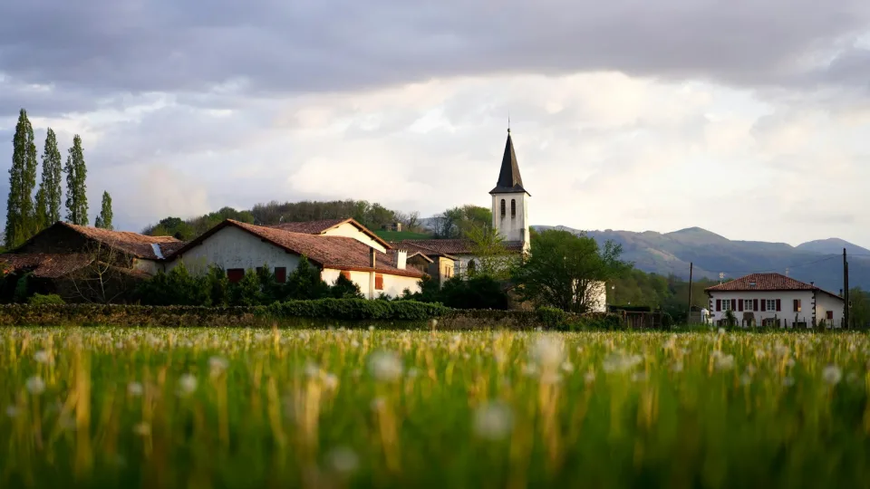 Nuo gegužės šalyje įsigalios nauja tvarka: valstybinės žemės nuomą perims merai