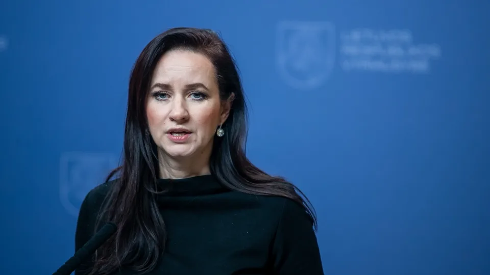Ruginienė sureagavo trumpai ir šaltai: kai kurios temos, pasirodo, peržengia ribas