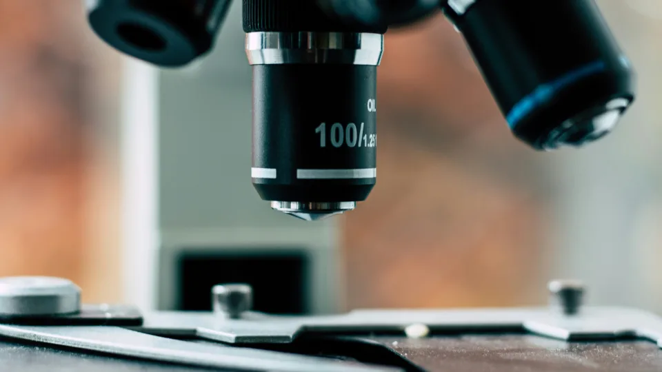 Japonijos mokslininkai laboratorijoje užaugino veikiančias žmogaus smegenų dalis: ką tai reiškia medicinai