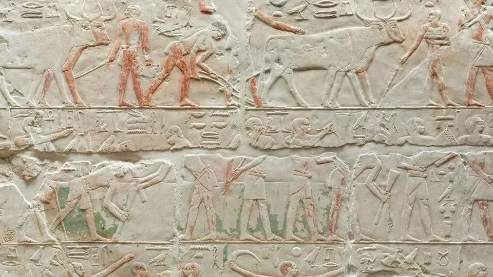 Egipto dykumoje aptikti milžiniški hieroglifai: mokslininkai įžvelgia ryšio su kosmosu paslaptį