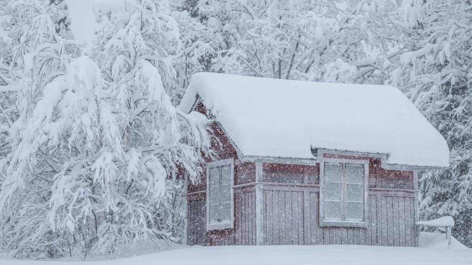 Žiema jų nepalaužia: skandinavų paslaptys, kurios padeda išvengti nuotaikų duobių