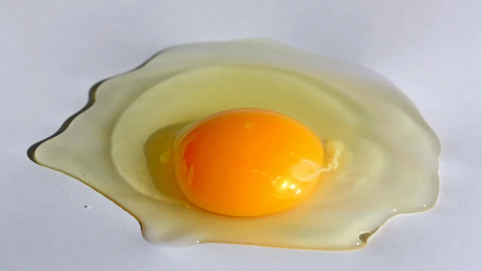 Mitybos specialistai nustebo patys: paaiškėjo, kas iš tiesų greičiau tirpdo riebalus