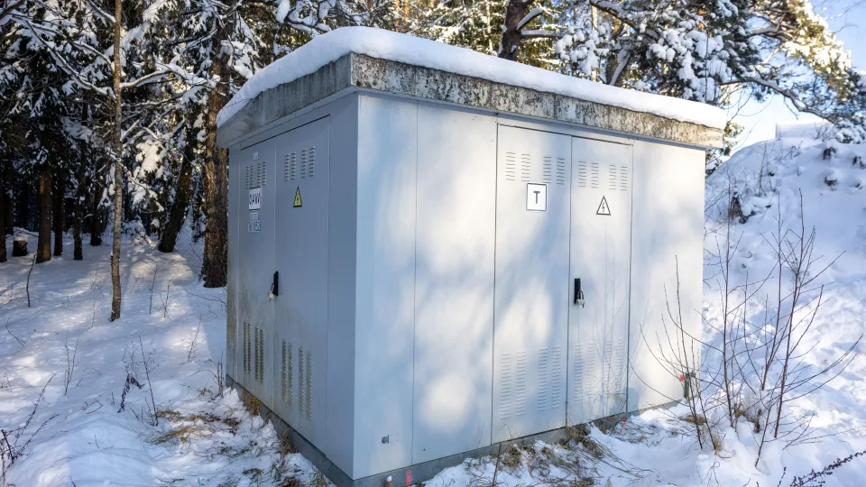 Elektrifikacijos žingsnis: miškingose teritorijose ketina nutiesti 700 km požeminių elektros kabelių