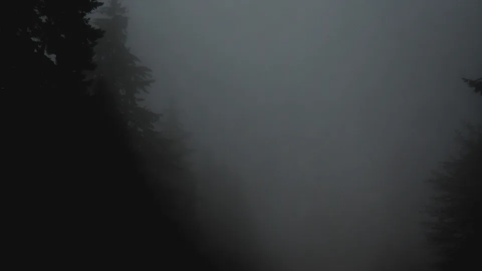 „Silent Hill" sugrįžta: antrosios dalies siaubo ekranizacija atskleis šokiruojančius faktus