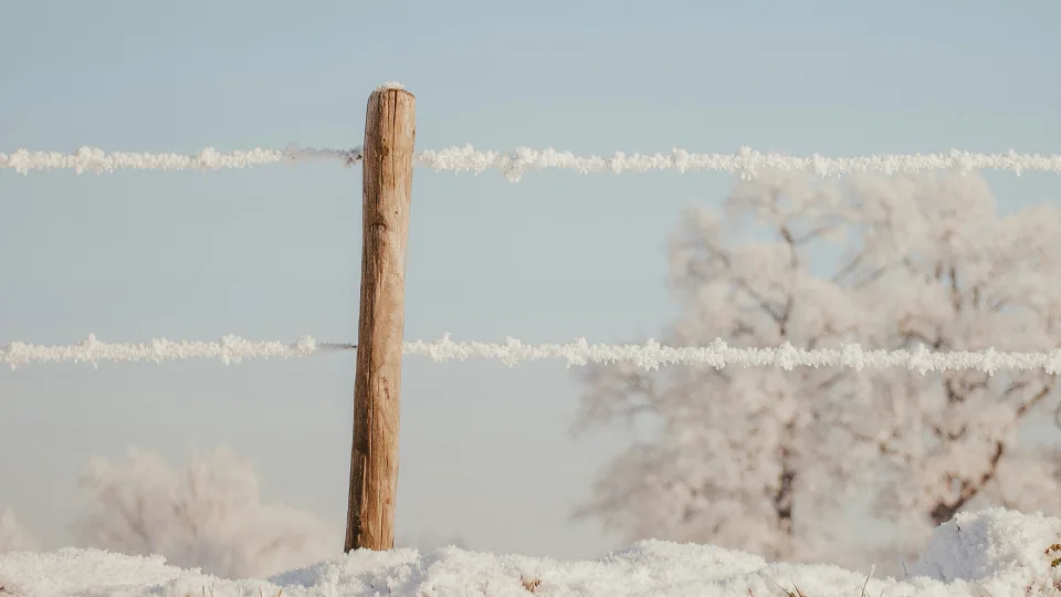 Ar pagaliau šils? Naujausia sinoptikų prognozė siunčia dviprasmišką signalą