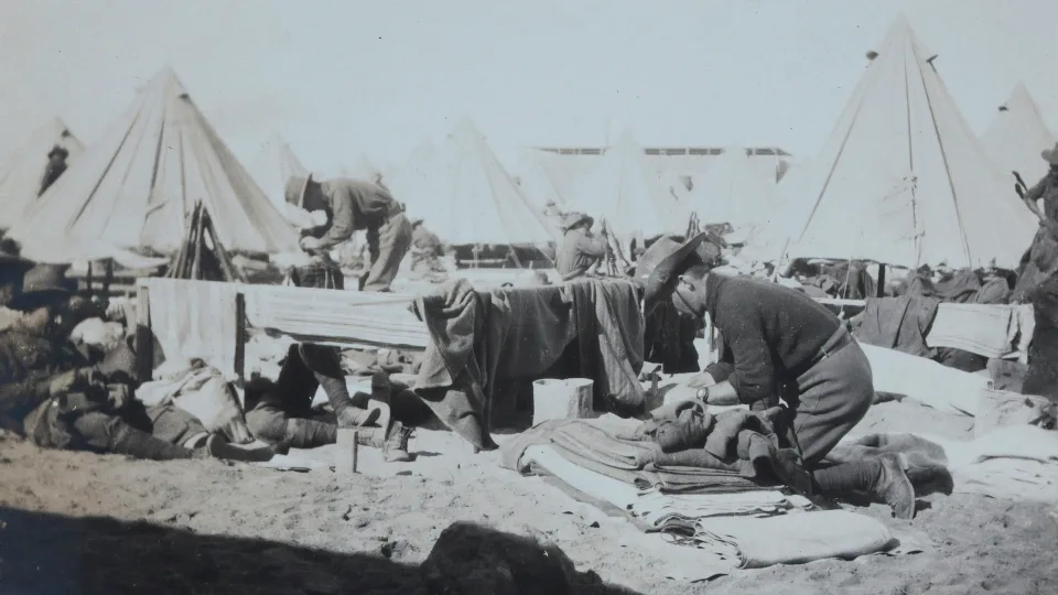 Mokslininkai neteko žado: viena mitybos korekcija gali iš esmės pakeisti kovą su infekcija