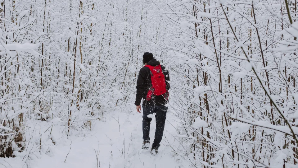 Šalčiai nebeerzina: skandinavų žiemos rengimosi taisyklės, kurias verta perimti dabar
