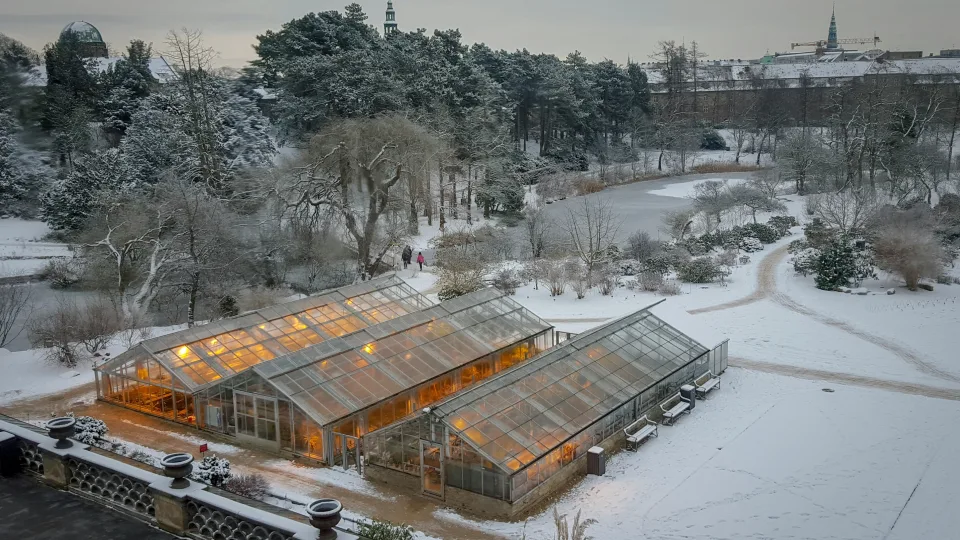 Netikėtas triukas žiemą: kodėl verta prisikasti sniego į šiltnamį ir kaip tai paversti nauda