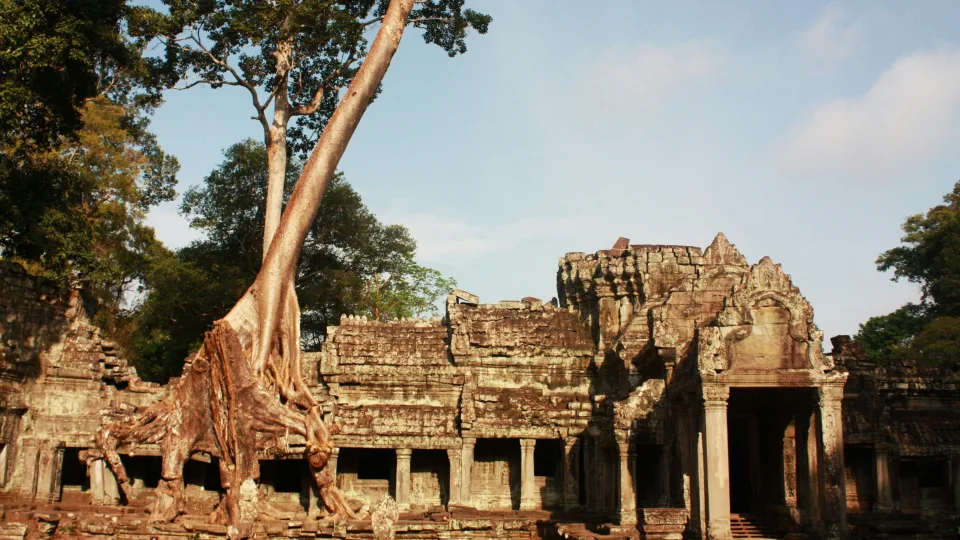 Legendinė Lara Kroft sugrįžta: atskleistas naujas serialo veidas, archeologė taps dar pavojingesnė