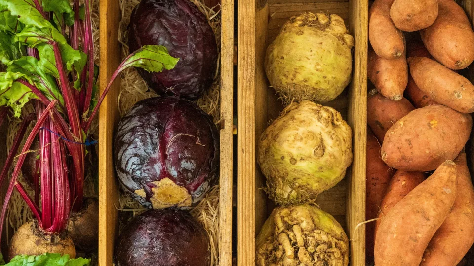 Mitybos specialistai perspėja: šių vaisių ir daržovių žiemą geriau nevalgyti