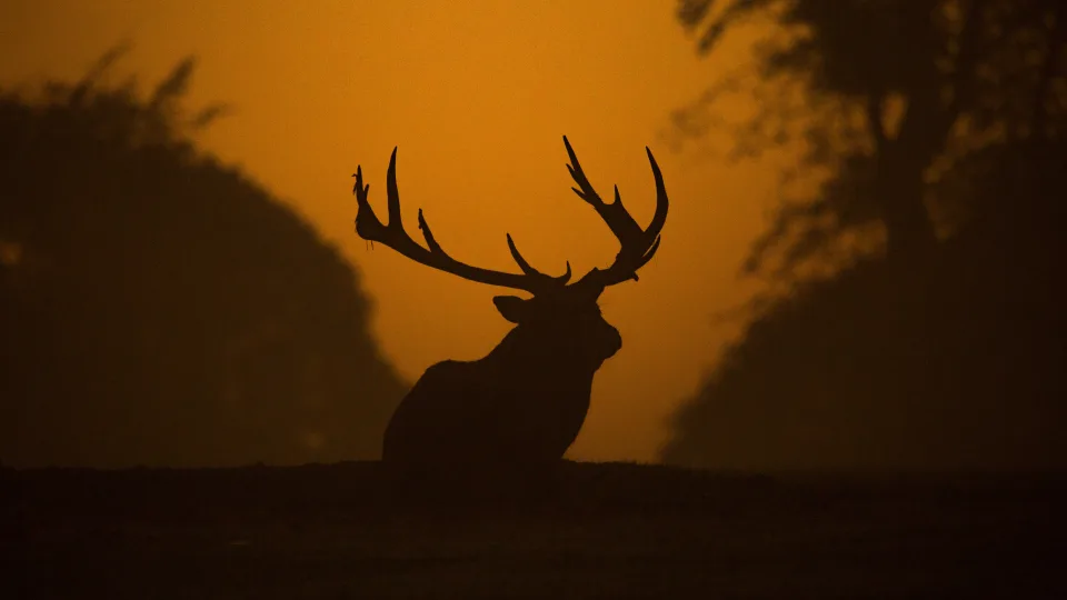 Banko darbuotojai liko be žado: incidentas akimirksniu tapo sensacija