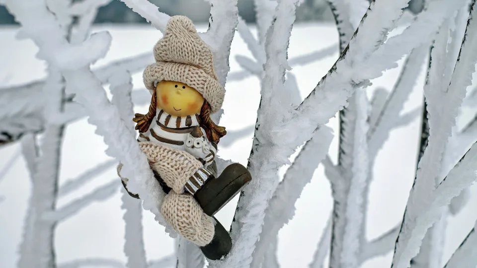 „Sodra“ siunčia žinią gyventojams: gali priklausyti šimtai eurų, tai privalu žinoti kiekvienam