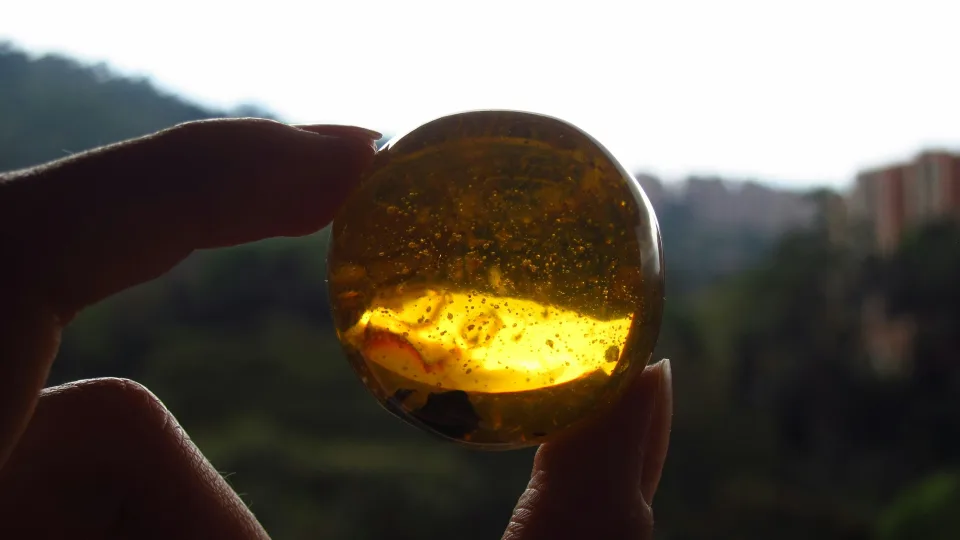 Atradimas, kuris perrašo supratimą: poeto gintare rastas skruzdėlynas atskleidė seniai pamirštą paslaptį