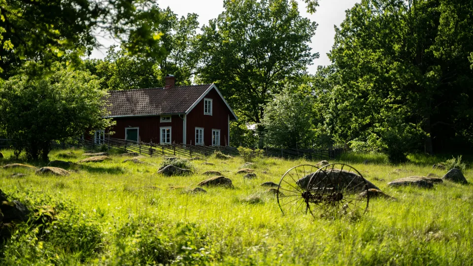 Skaudus paveldas: kodėl Lietuva, Slovakija ir Rumunija vis dar negali grąžinti žemės mažumoms