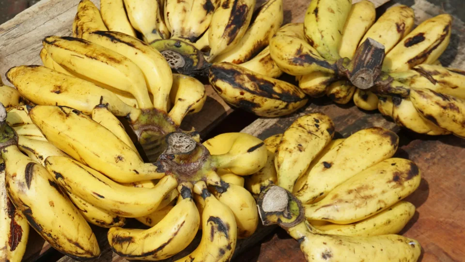 Ar tikrai saugu valgyti bananus su įskiliusia žievele? Gydytojų perspėjimai ir nemalonios pasekmės