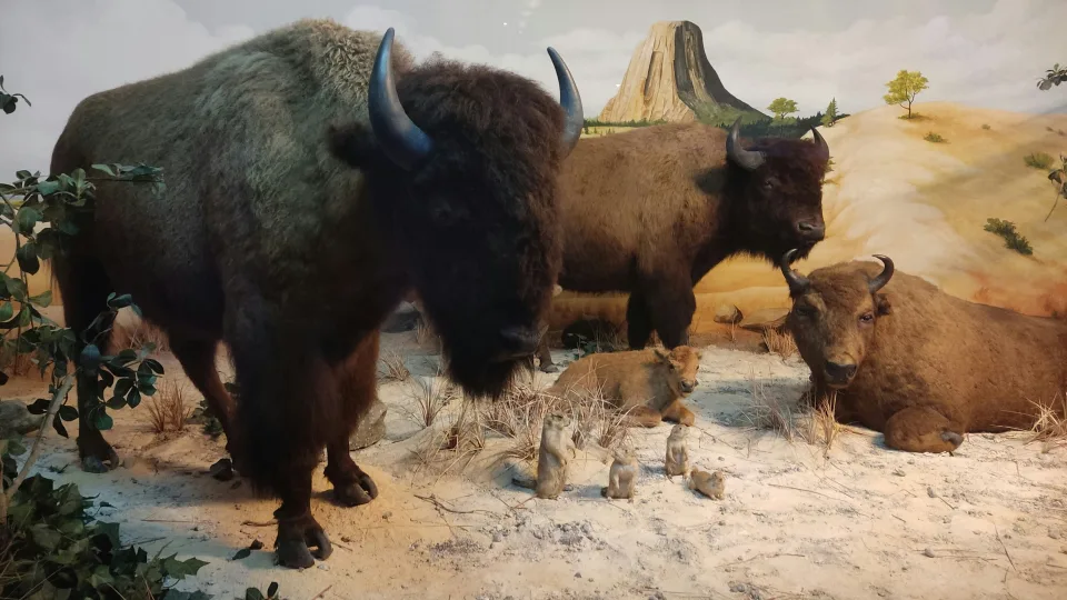 Šis Lietuvos muziejus traukia rekordines minias: naujos ekspozicijos vilioja tūkstančius