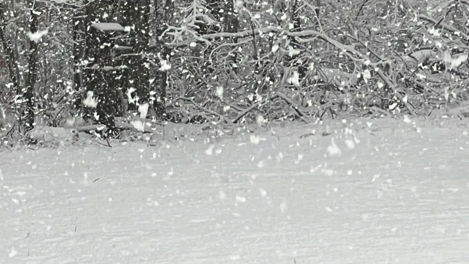 Šaltis traukėsi, bet ketvirtadienį Lietuvą pasieks tai, kas gali pakeisti visų planus per vieną naktį